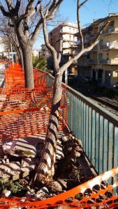 Lavori in viale Colajanni 1